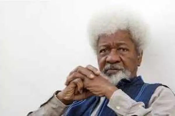 Zamfara killings: Hate preachers should be prosecuted – Soyinka